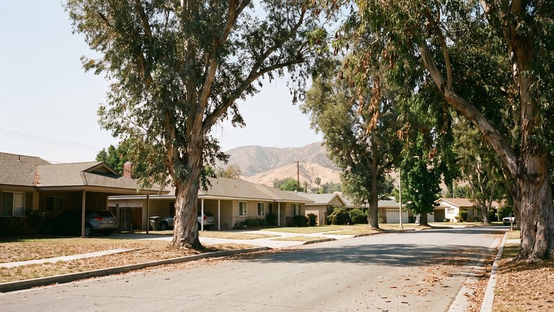 A Woodland Hills street of low-pitched ranch roofs under mature eucalyptus