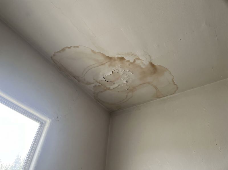 A brown water stain spreading across a white painted ceiling