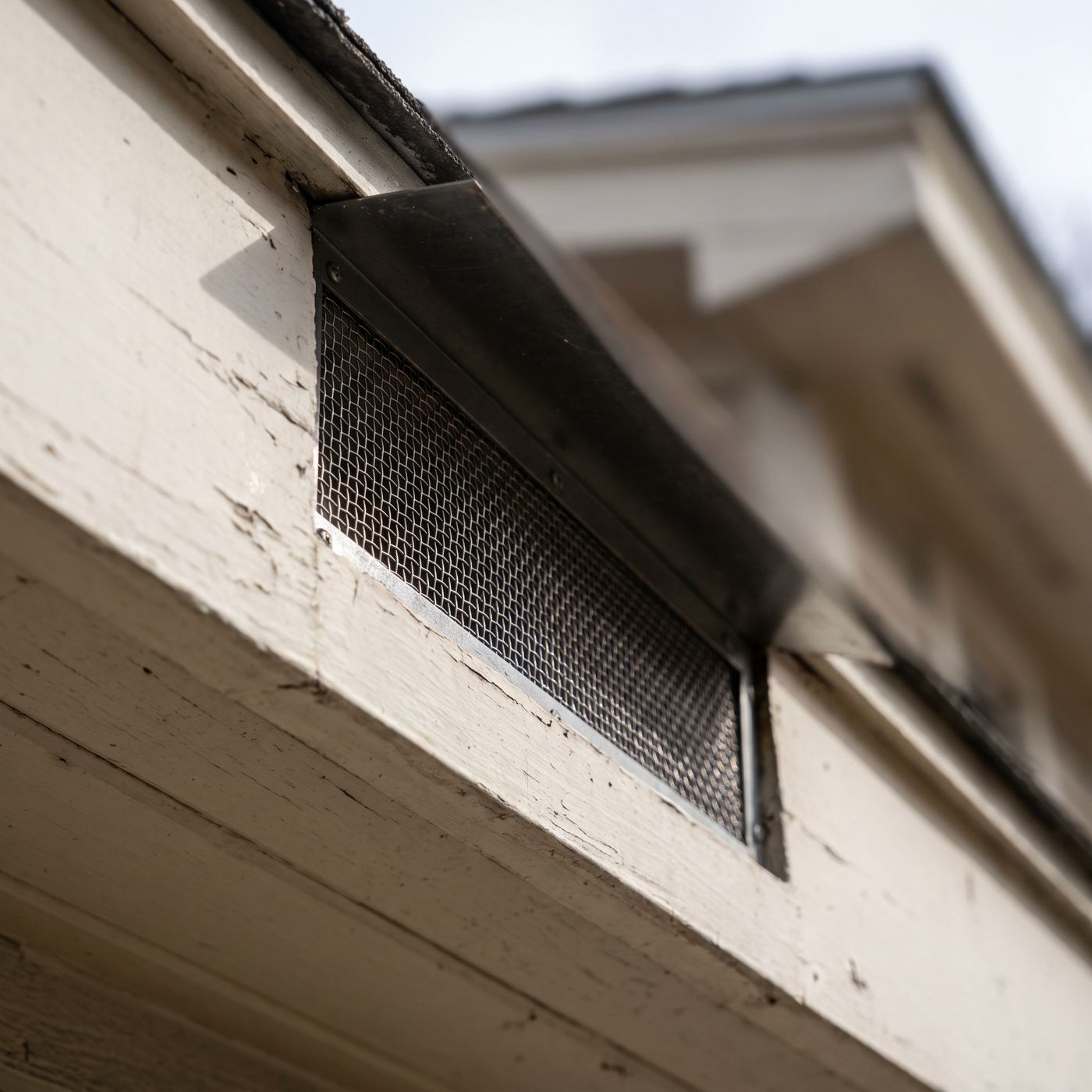 An ember-resistant attic vent with fine metal mesh in a boxed eave